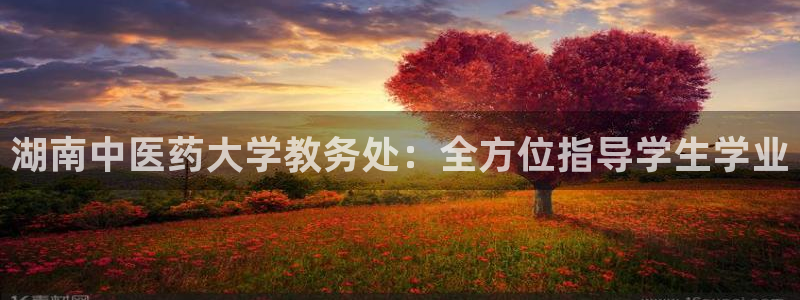 j9九游会不出款
