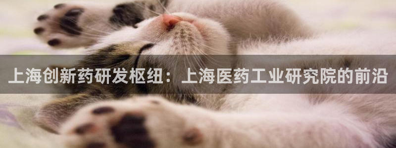 九游会网址最新