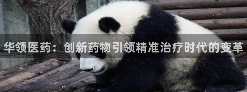 九游会网址登录不上