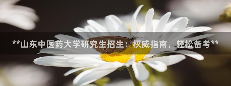 九游会官网真人认证吗
