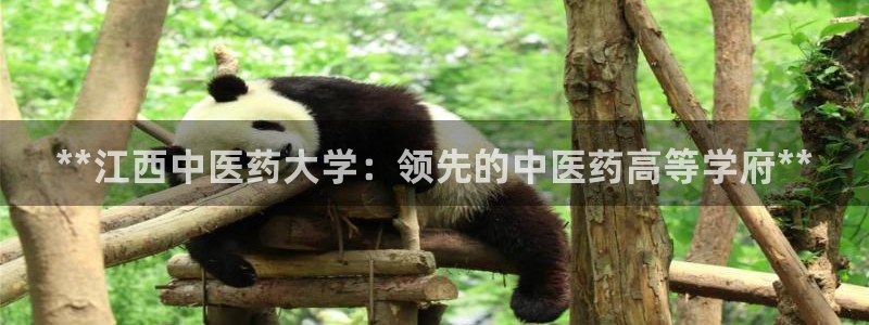 j9九游会老哥俱乐部交流区