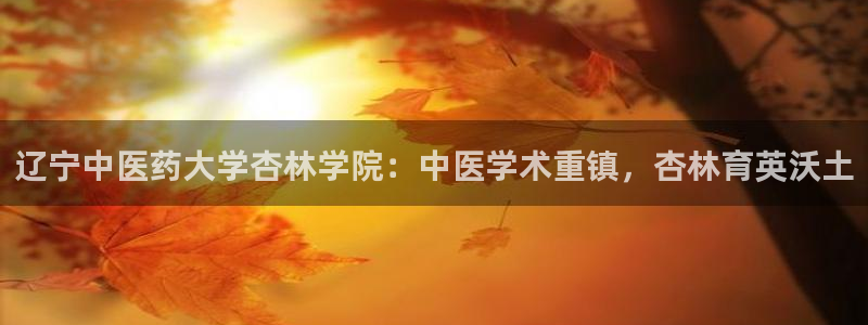 九游会官网j9