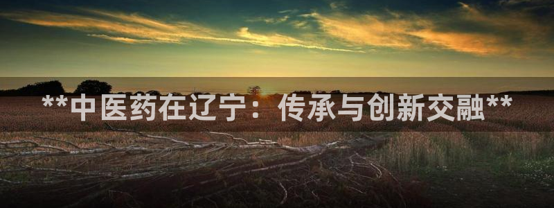 九游j9登录