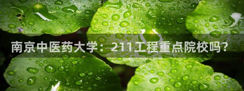九游会平台怎么样