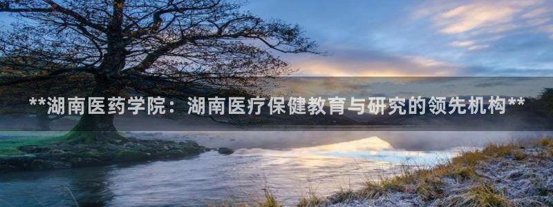 ag变成九游会