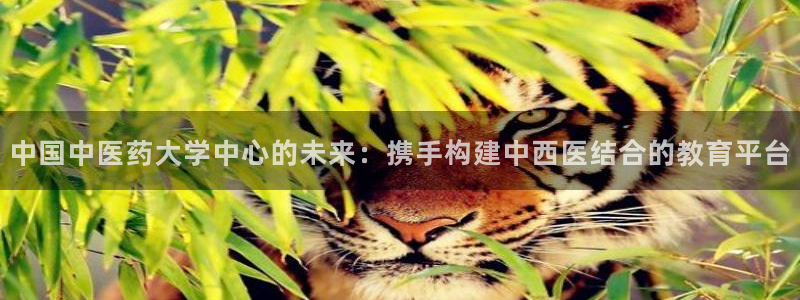 九游会网址多少