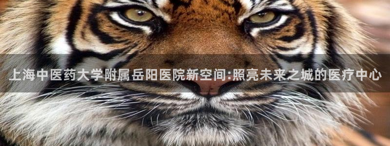9游会官方网站