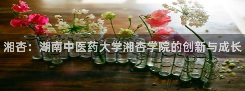 j9九游会官网
