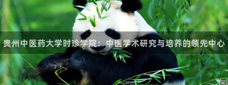 j9九游会官方网站