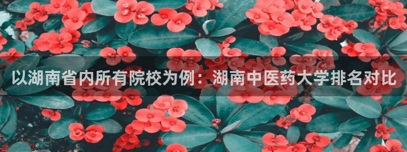 j9九游会入口