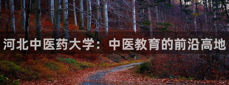 九游会ag真人官网