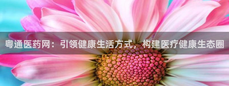 九游会第一真人视频游戏