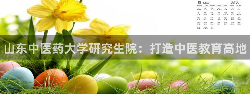 九游会ag登陆
