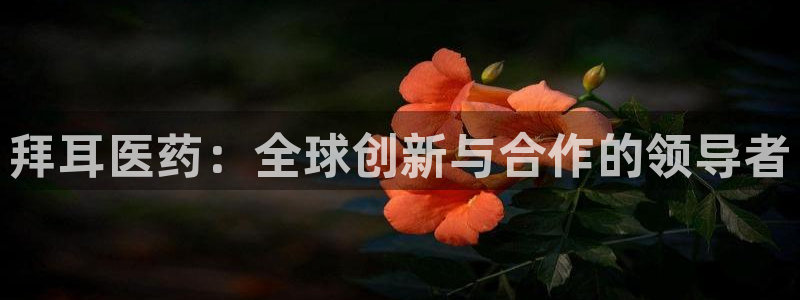 九游会网站打不开了