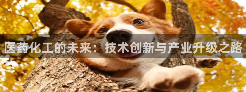 九游会老哥俱乐部必备的交流社区论坛