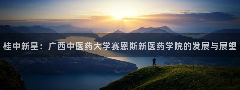 九游j9