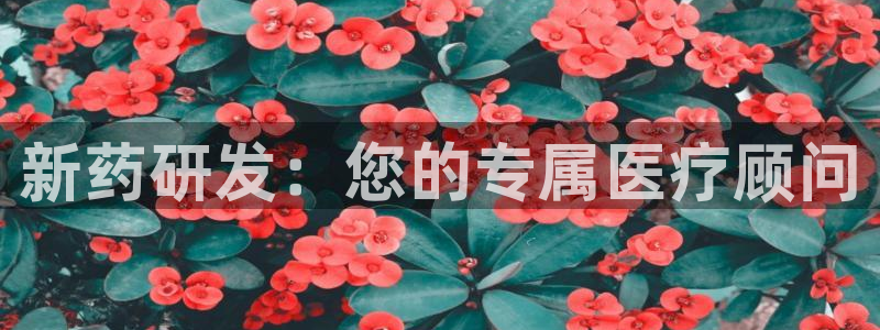 九游会ag登入