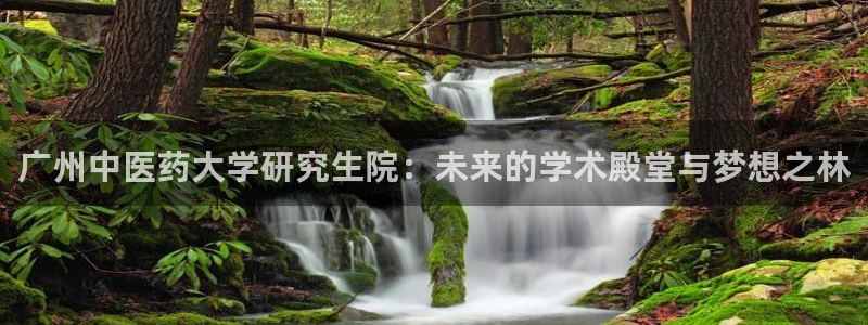 九游会提款安全吗：广